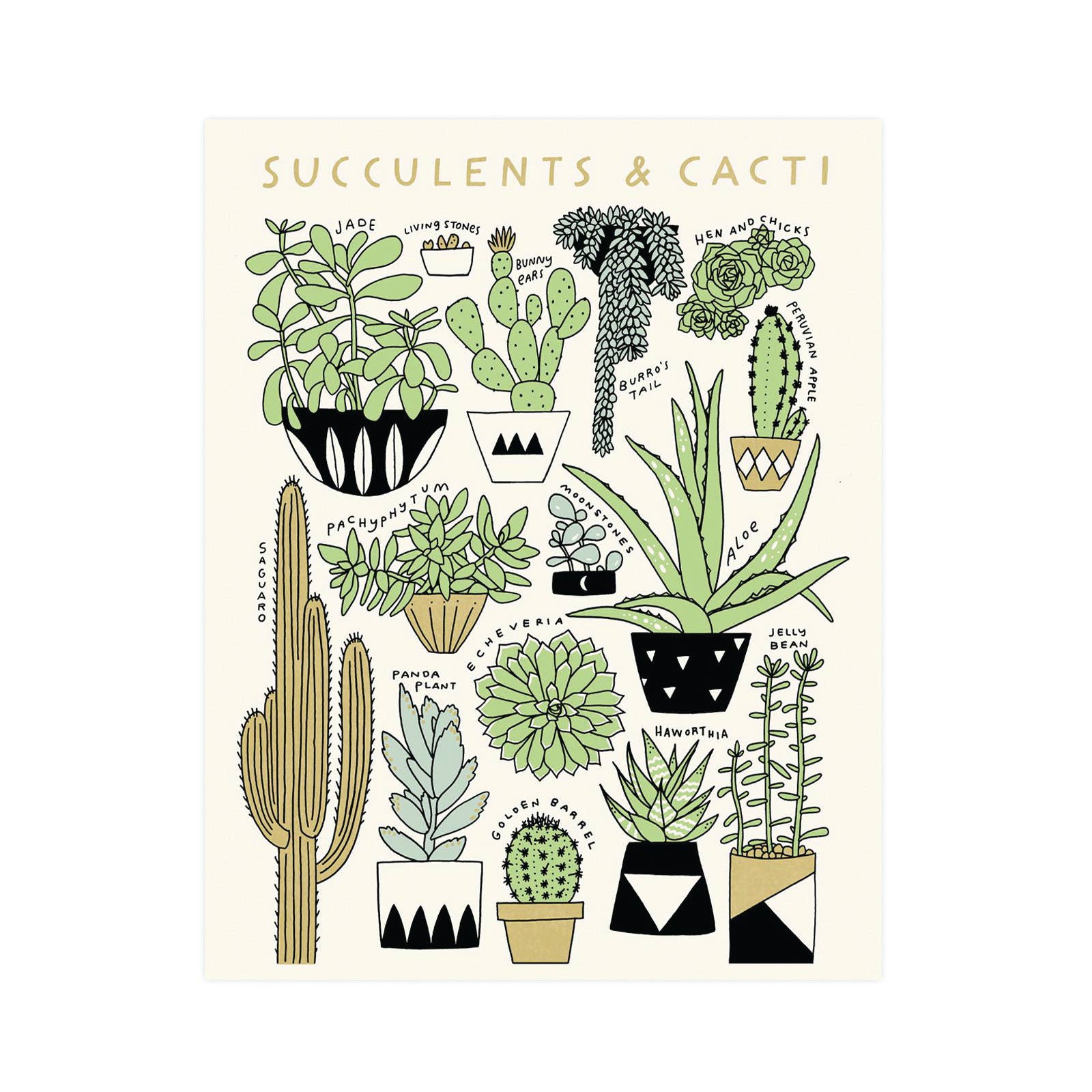 botany succulents Succulents & Cacti Botanical Print – Jackalope Trading Company