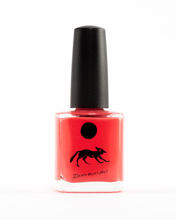 Brine Digesting In Flamingo-Beauty-Death Valley Nails-Jackalope Trading Company