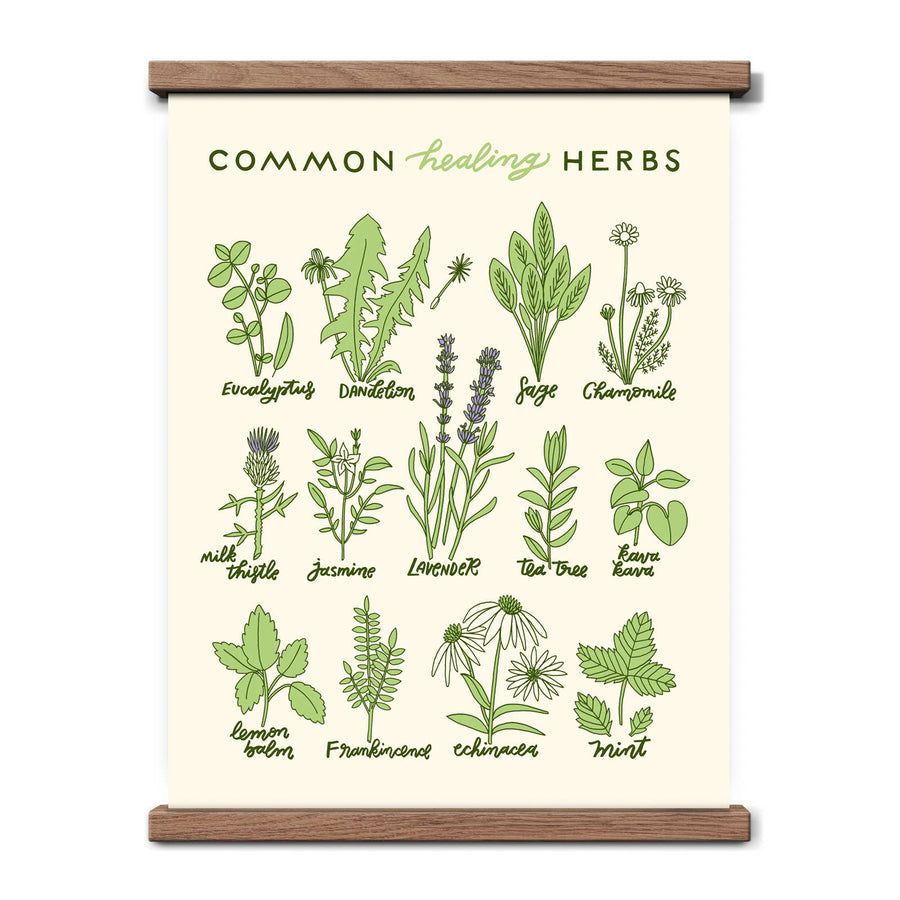 Healing Herbs Print