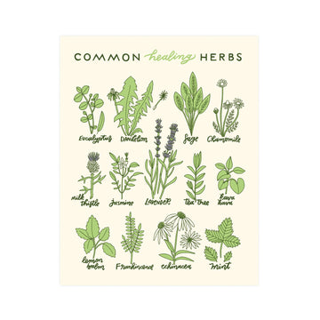 Healing Herbs Print