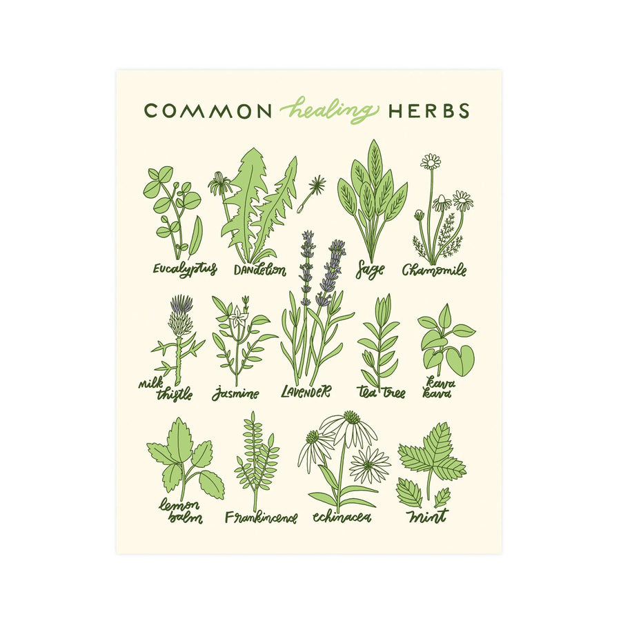 Healing Herbs Print