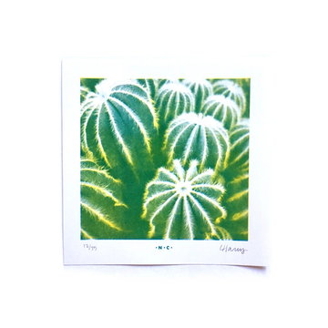 Parodia Magnifica Cacti Half-tone Risograph Print-Paper-Next Chapter Studio-Jackalope Trading Company
