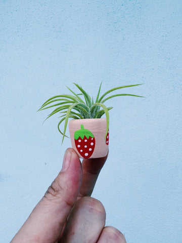 Berry Cute Mini Planter